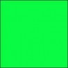 DLL 02 fluor zelená  61cm lesk 5-letá